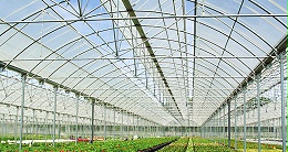 保定市生態(tài)園PC陽(yáng)光板溫室